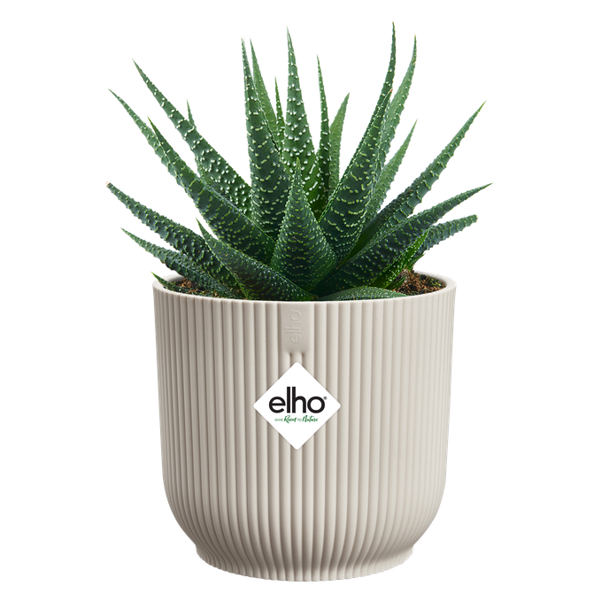 vibes fold rond mini 7cm blanc lin